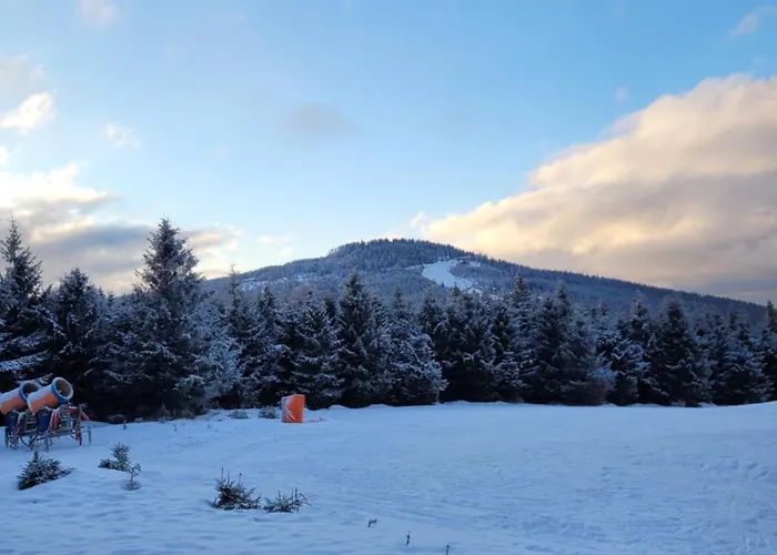 Bormio 27 Czarna Gora Apartment Sienna (Klodzko)